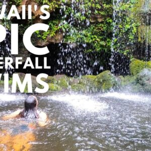 The Ultimate Guide to Big Island Waterfall Swimming Holes: Top Things to Do on the Big Island