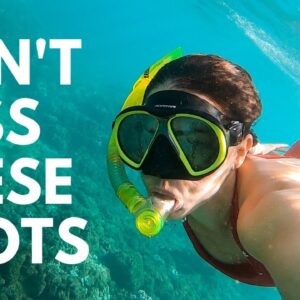 Where to Snorkel on the Big Island, Hawaii | 5 Best Snorkel Beaches on Hawaii