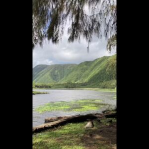 Exploring Hawaii (Big Island) at Pololu Valley Black Sand Beach #shorts