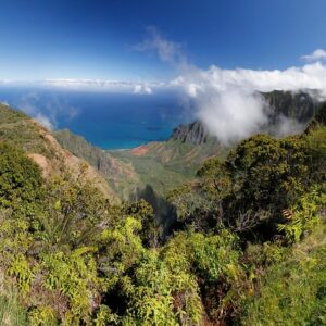 Kauai Private Tour : Waimea Canyon and Southside