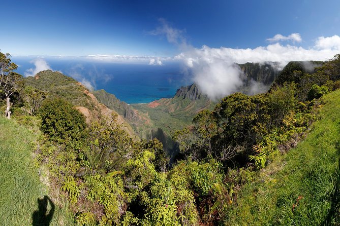 Kauai Private Tour : Waimea Canyon and Southside Overview of the Products Purpose and Key Features