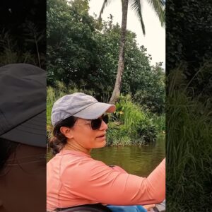 kayaking to a waterfall swimming hole on Kauai
