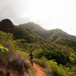 Oahu Adventure Tours Review