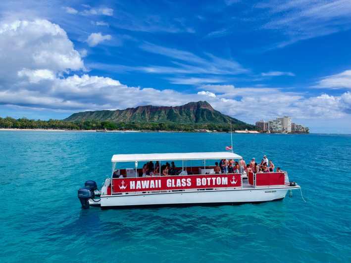 Oahu Afternoon Glass Bottom Boat Tour in Waikiki Review What This Product is Used For and Who Needs It