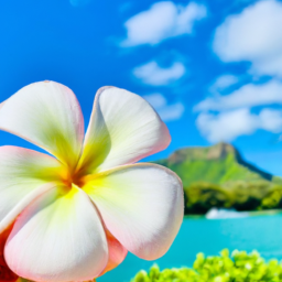 Oahu Sightseeing Cruises Review