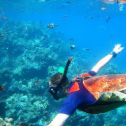 Oahu Snorkeling Tours Review