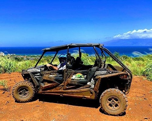 Top 10 Maui Tours Review Introduction