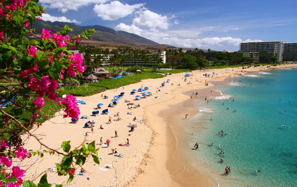 How Can I Find The Best Beaches In Hawaii?