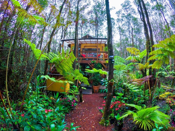 How Do I Explore The Lush Beauty Of Hawaiis Rainforests?