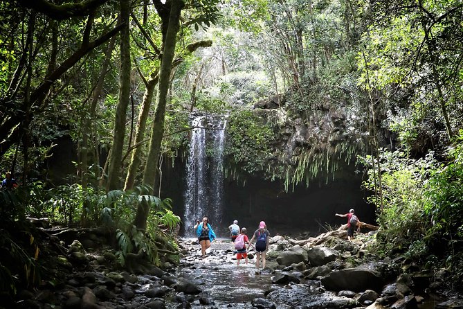 How Do I Explore The Lush Beauty Of Hawaiis Rainforests?