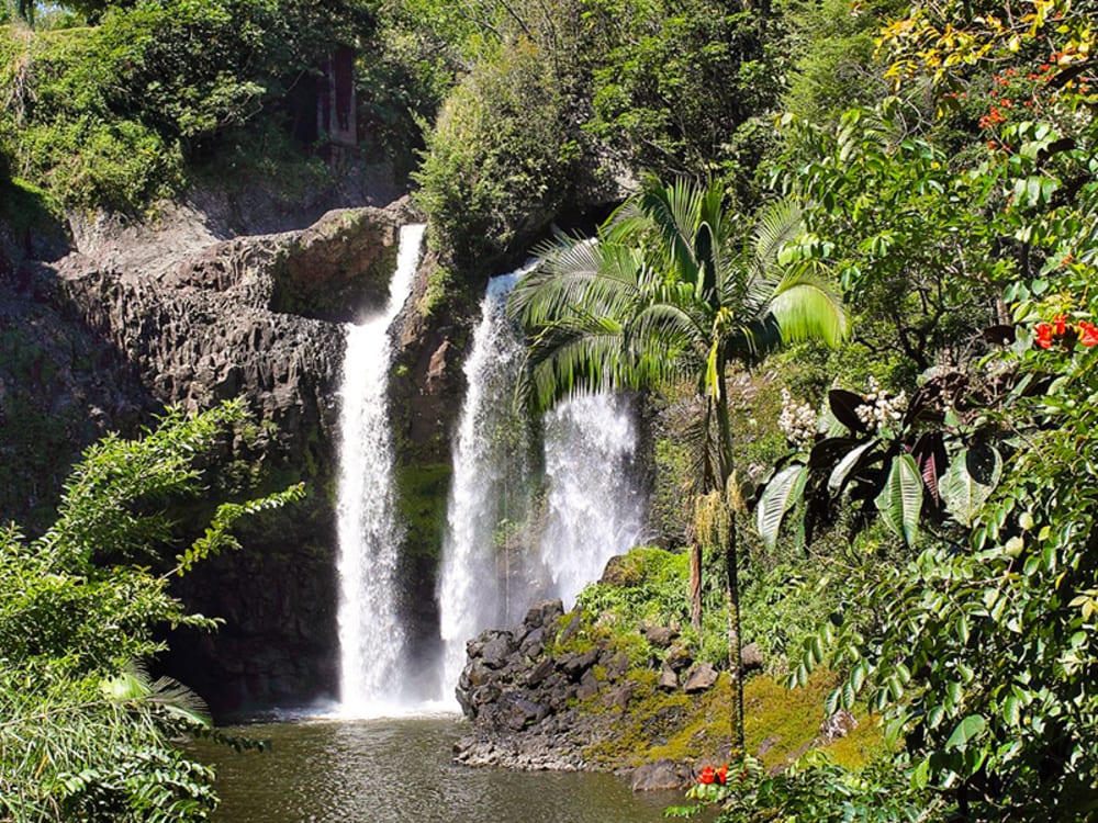 How Do I Explore The Lush Beauty Of Hawaiis Rainforests?