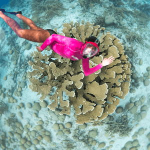 What’s The Best Way To Explore The Underwater World With Snorkeling?