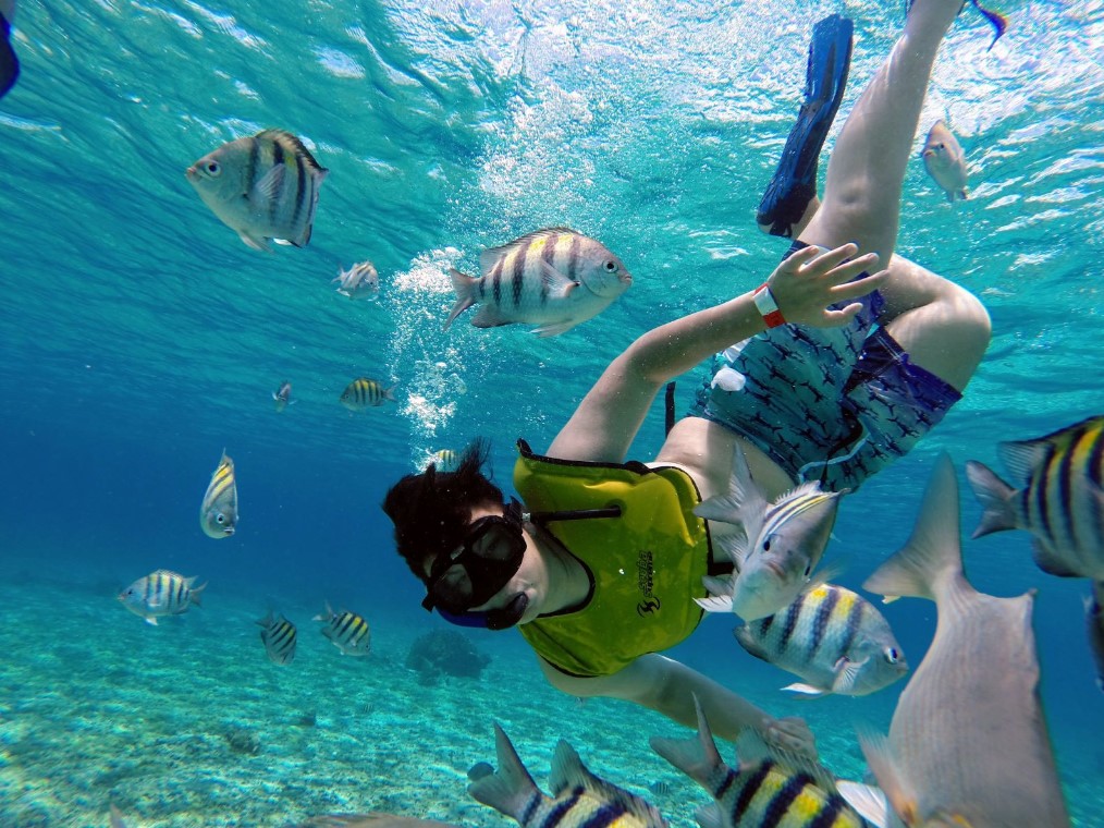 Whats The Best Way To Explore The Underwater World With Snorkeling?