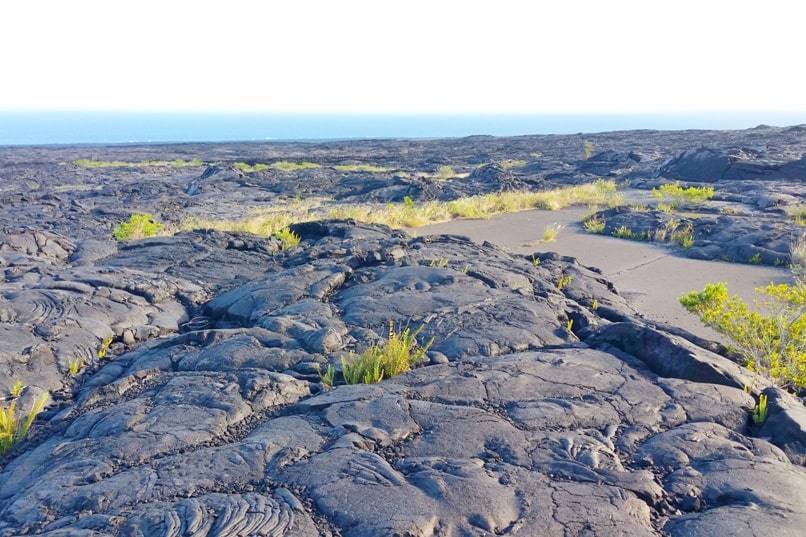 Where Can I Take A Scenic Drive To See Lava Fields And Ocean Views?