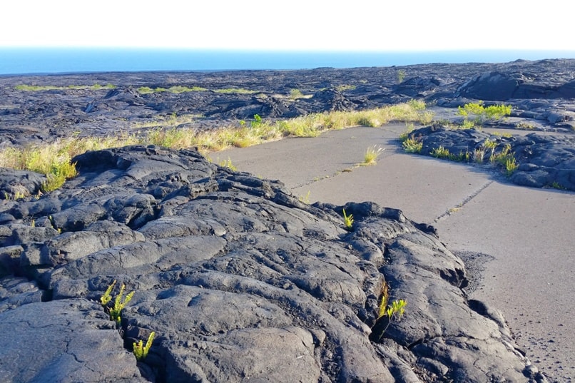 Where Can I Take A Scenic Drive To See Lava Fields And Ocean Views?