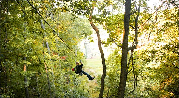 How Can I Experience The Thrill Of Zip-lining Over The Treetops?