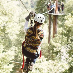 How Can I Experience The Thrill Of Zip-lining Over The Treetops?