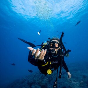 How Can I Explore Hawaii’s Rich Marine Life With A Scuba Dive?