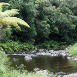 How Can I Learn About The Hawaiian Practice Of Ahupuaʻa Land Division?