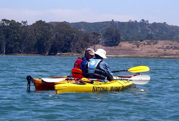 How Do I Experience A Kayak Tour To Visit Marine Sanctuaries?