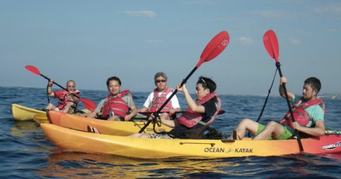 How Do I Experience A Kayak Tour To Visit Marine Sanctuaries?