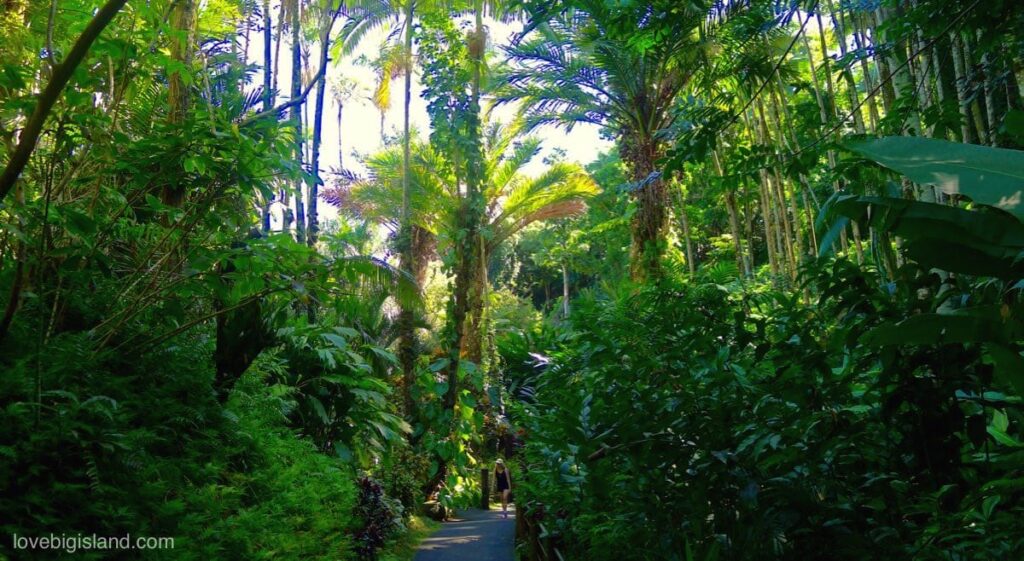 How Do I Explore Hawaiis Botanical Gardens And Native Plants?