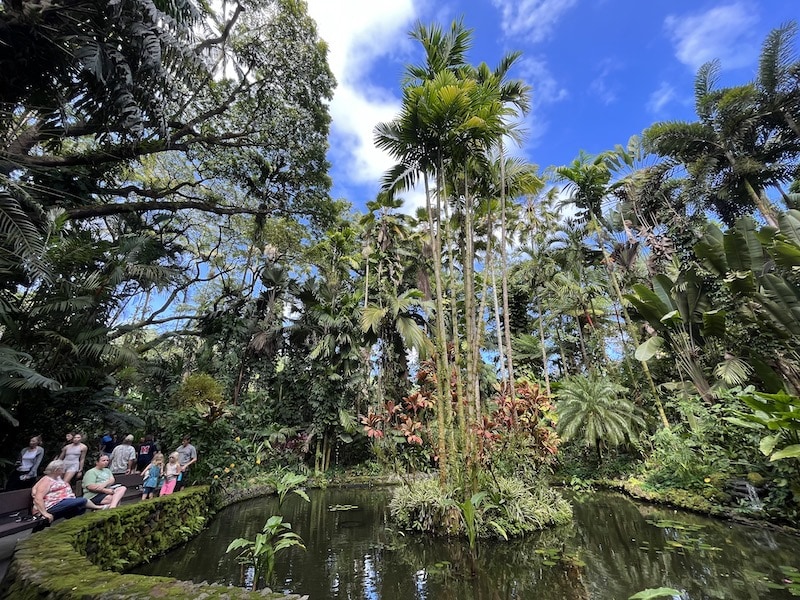 How Do I Explore Hawaiis Botanical Gardens And Native Plants?