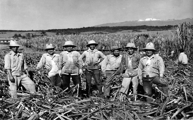 How Do I Learn About Hawaiis Historic Plantation Era?