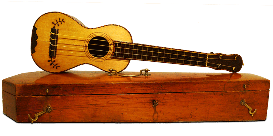 Whats The Best Place To Learn About The History Of The Ukulele?