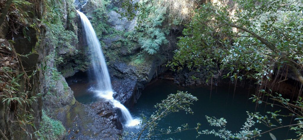 Whats The Best Way To Explore The Road To Hana In Maui?