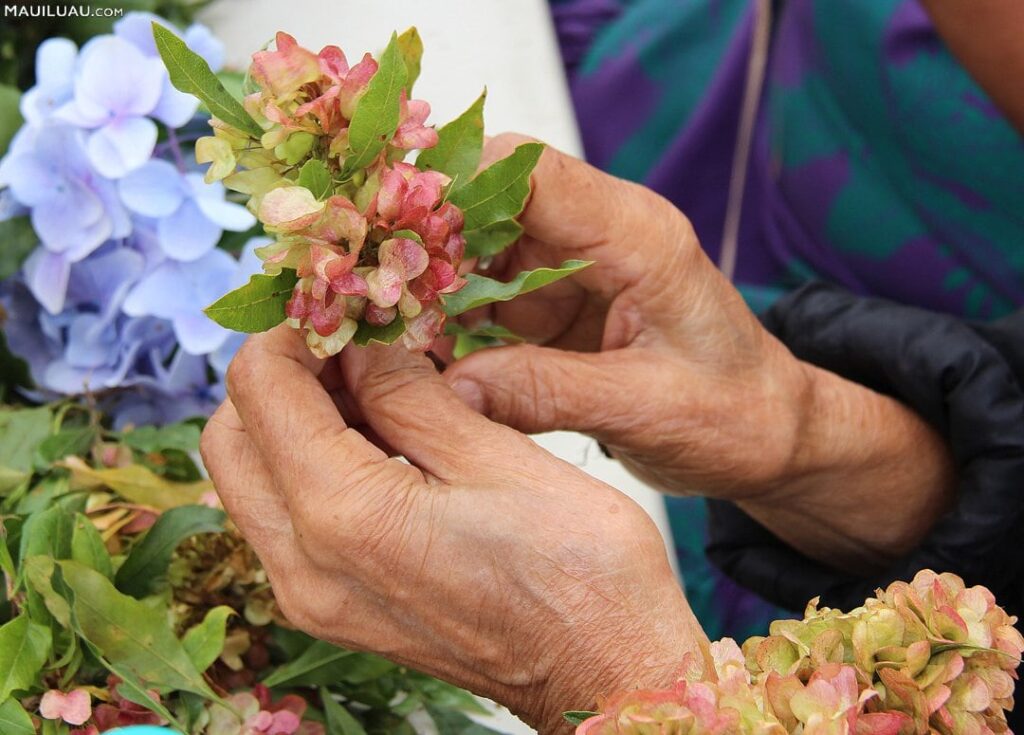 Where Can I Learn About The Art Of Making Traditional Leis?