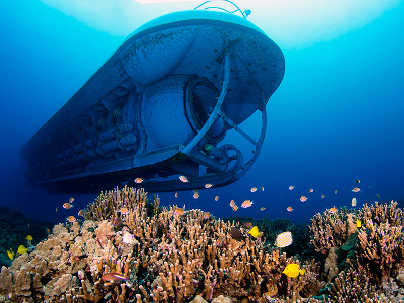 Where Can I Take A Submarine Tour To Explore Underwater Ecosystems?