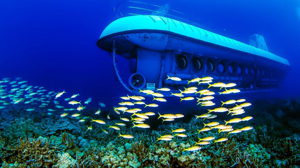 Where Can I Take A Submarine Tour To Explore Underwater Ecosystems?