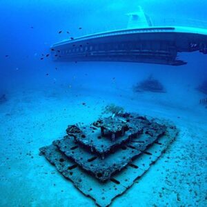 Where Can I Take A Submarine Tour To Explore Underwater Ecosystems?