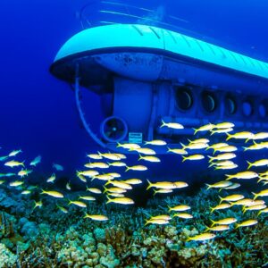 Where Can I Take A Submarine Tour To Explore Underwater Ecosystems?