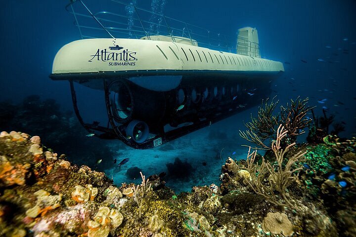 Where Can I Take A Submarine Tour To Explore Underwater Ecosystems?