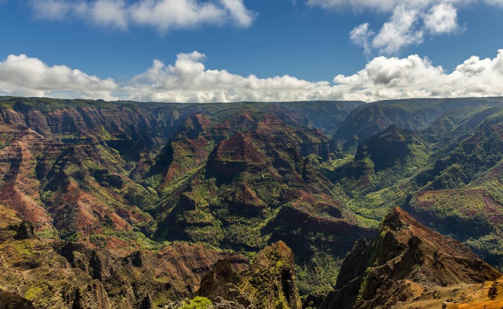 Whats The Best Way To Explore The Waimea Canyon In Kauai?