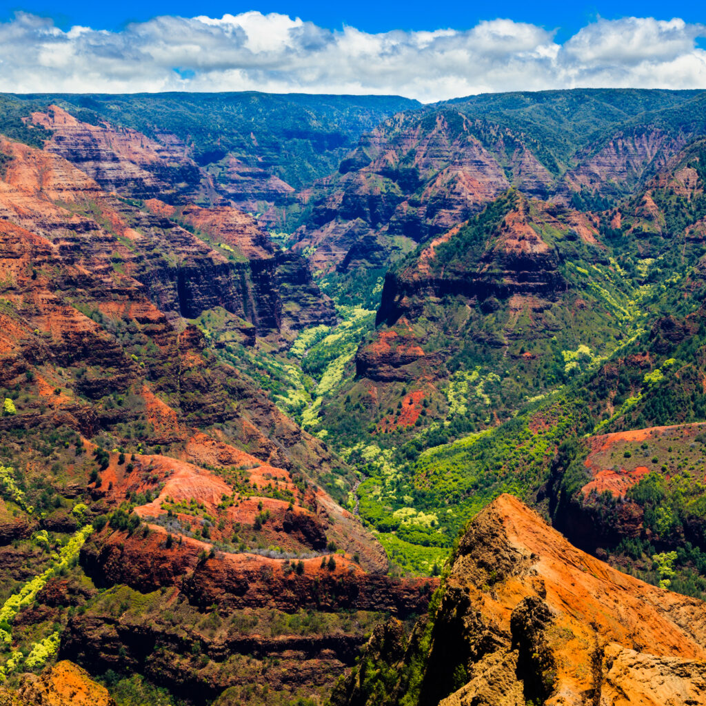 Whats The Best Way To Explore The Waimea Canyon In Kauai?