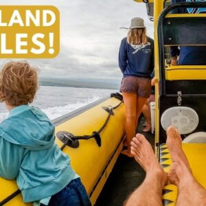 The Best Big Island Whale Watching in Puako Bay (famous for humpback whales!)