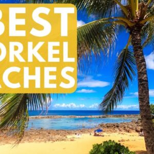 Where to Snorkel on Oahu, Hawaii | 5 Best Snorkel Spots on Oahu