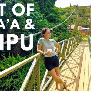 KAUAI THINGS TO DO: 22 Things to Do in Kapaa and Poipu, Kauai